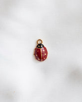 Charm LADYBUG
