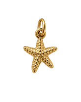 Charm STARFISH SMALL