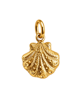 Charm SCALLOP SHELL BIG
