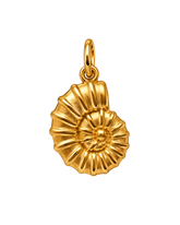 Charm FOSSIL