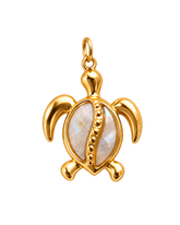 Charm TURTLE