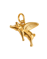 Charm FLYING PIG