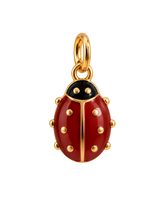 Charm LADYBUG