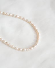Halskette PEARL CHAIN