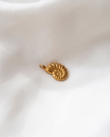 Charm FOSSIL