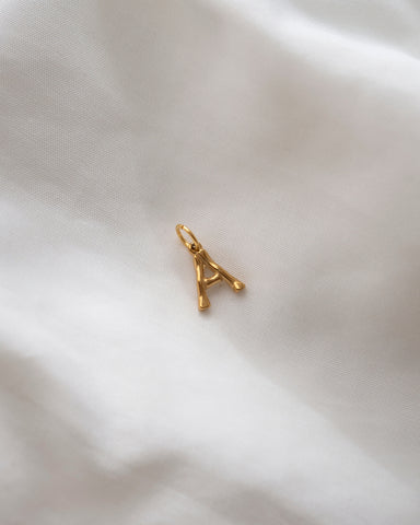 Charm INITIAL BIG