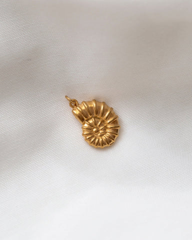 Charm FOSSIL