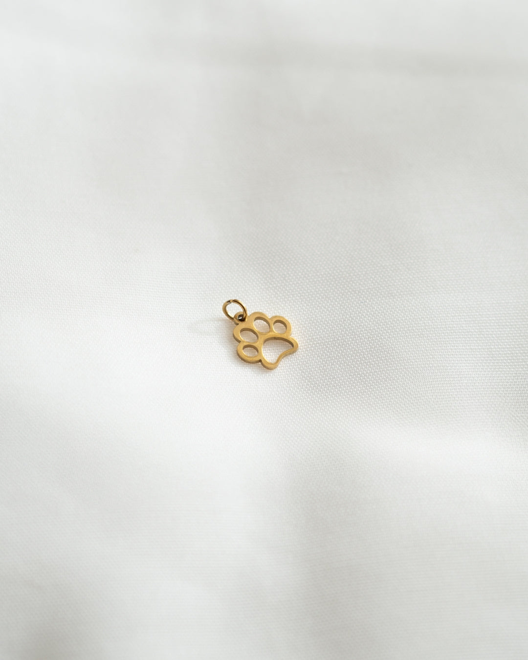 Charm PAW