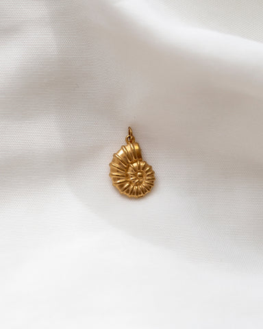 Charm FOSSIL