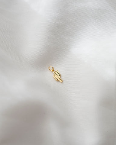 Charm CACTUS