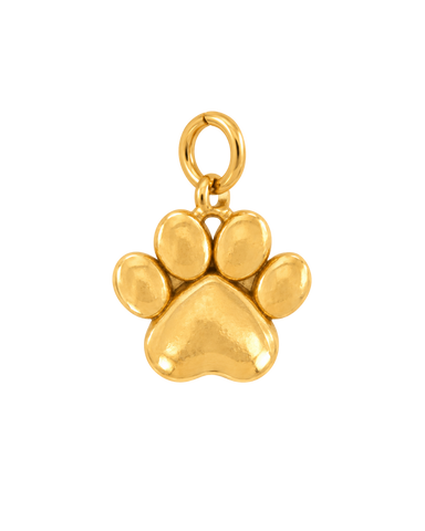 Charm PAW MINI