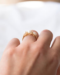 Ring PHOEBE