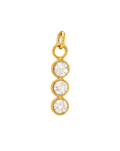 Charm SHINY