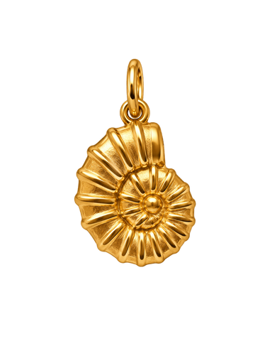 Charm FOSSIL