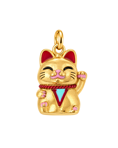 Charm SIAM