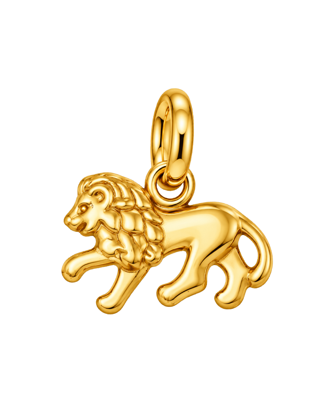 Charm LEO